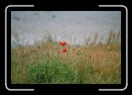 12-032_33 * Am Strand von St-Michel-en-Gr�ve, C�tes d'Armor * 2088 x 1392 * (2.1MB)