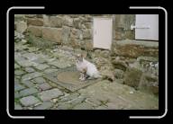 14-005_6 * Das Quartier rund um den Port de Dinan, C�tes d'Armor * 2088 x 1392 * (1.96MB)