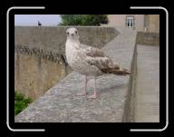 14-015_16d * St-Malo, Ille-et-Vilaine * 2048 x 1536 * (1.43MB)