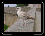 14-015_16e * St-Malo, Ille-et-Vilaine * 2048 x 1536 * (1.46MB)