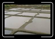 15-000_1 * Salzfelder in der Nahe von Gu�rande, Loire-Atlantique/Pays de la Loire * 2088 x 1392 * (2.02MB)