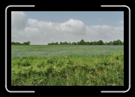 Bretagne1-014_15_a * 800 x 533 * (118KB)