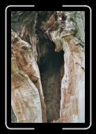 Bretagne1-017_18_a * 533 x 800 * (106KB)