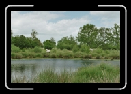 Bretagne1-034_35_a * 800 x 533 * (106KB)