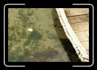 Bretagne5-007_8A_d3 * 800 x 533 * (102KB)