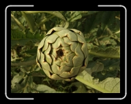 Bretagne5-011_12A_d1 * 800 x 600 * (85KB)