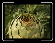 Bretagne5-011_12A_d2 * 800 x 600 * (87KB)