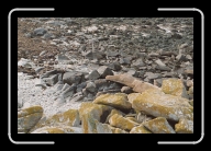 Bretagne5-015_16A_a * 800 x 533 * (164KB)