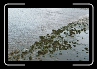 Bretagne6-016_17A_a * 800 x 533 * (150KB)