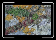 Bretagne6-031_32A_a * 800 x 533 * (209KB)