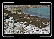 Bretagne7-000_1A_a * 800 x 533 * (167KB)