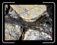 Bretagne7-007_8A_d1 * Spaghettis de mer..., Argenton * 800 x 600 * (238KB)