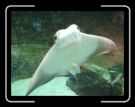 Bretagne9-013_14_d09 * 800 x 600 * (110KB)