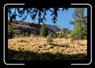 1pic018_19 * 2088 x 1392 * (1.28MB)