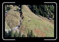 1pic022_23 * 2088 x 1392 * (1.56MB)