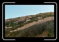 2pic011_12 * 2088 x 1392 * (1.06MB)