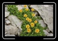 3_000_1 * 800 x 533 * (75KB)