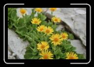 3_002_3 * 800 x 533 * (55KB)