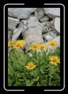 3_007_8 * 533 x 800 * (54KB)