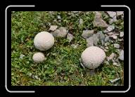 3_011_12 * 800 x 533 * (107KB)