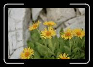 3_027_28 * 800 x 533 * (46KB)