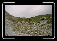 3_030_31 * 800 x 533 * (92KB)