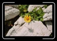 3_032_33 * 800 x 533 * (45KB)