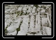 3_034_35 * 800 x 533 * (105KB)