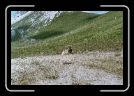 4333343_LARGE01 * 1536 x 1024 * (551KB)