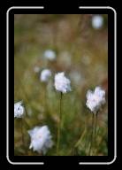 4333343_LARGE02 * 1024 x 1536 * (193KB)