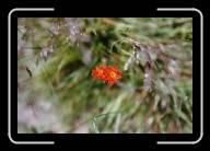 4333343_LARGE12 * 1536 x 1024 * (197KB)