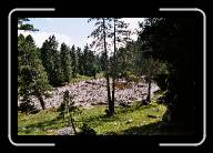 4333343_LARGE16 * 1536 x 1024 * (540KB)