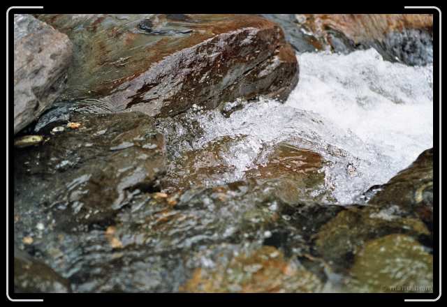 Letztes Bild erreicht