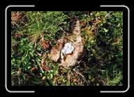 1_pic006_7 * 2088 x 1392 * (1.99MB)