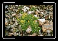 1_pic019_20 * 2088 x 1392 * (1.48MB)