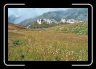 3_pic008_9 * 2088 x 1392 * (2.32MB)