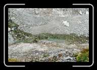 3_pic013_14 * Klarstes Wasser am Greina-Pass * 2088 x 1392 * (2.37MB)