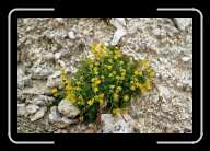 3_pic015_16 * 2088 x 1392 * (1.58MB)