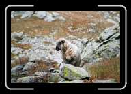 4_pic001_2 * 2088 x 1392 * (1.6MB)