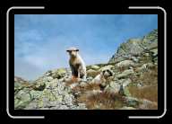 4_pic006_7 * 2088 x 1392 * (1.7MB)