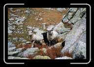 4_pic007_8n * 2088 x 1392 * (978KB)