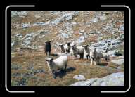 4_pic008_9 * 2088 x 1392 * (1.84MB)