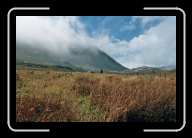 4_pic009_10 * 2088 x 1392 * (1.58MB)