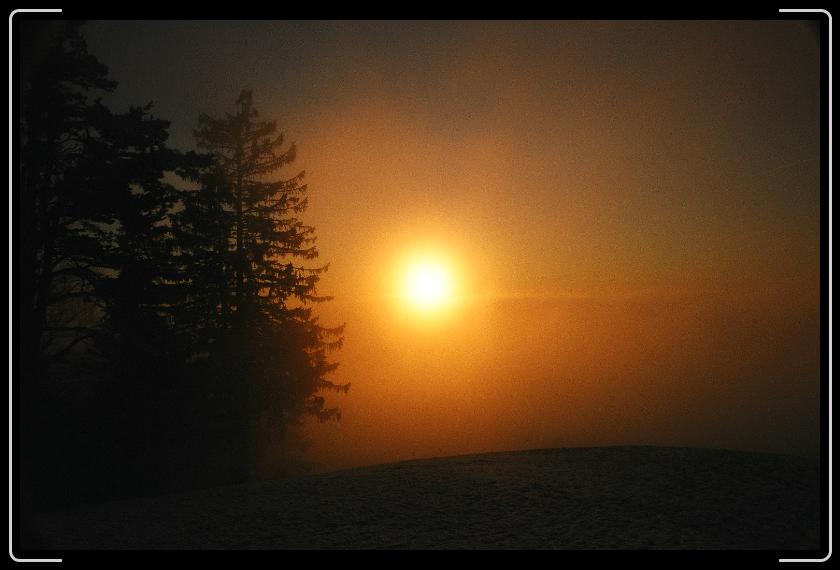 Letztes Bild erreicht