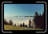 007_8A * 2088 x 1392