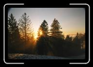 10090003 * 1544 x 1024