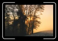 10090007 * 1544 x 1024