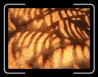 London1252 * 2848 x 2136 * (2.89MB)