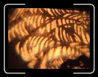 London1253 * 2848 x 2136 * (2.95MB)