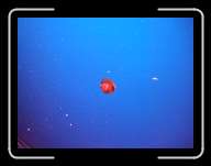 London1261 * 2848 x 2136 * (2.78MB)